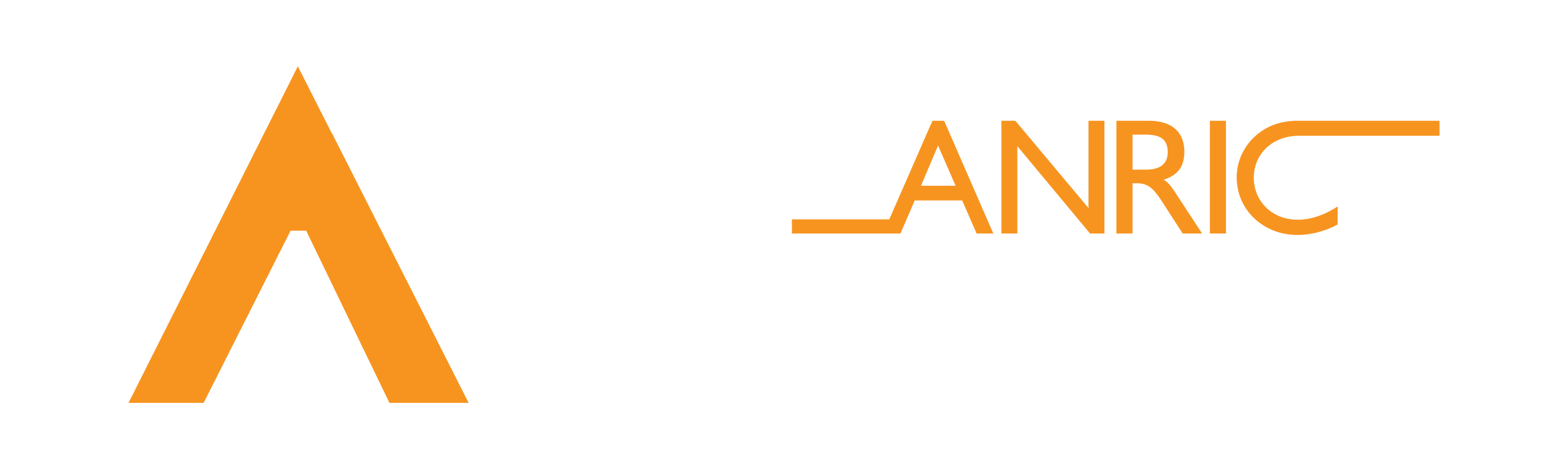 Anric Group Logo